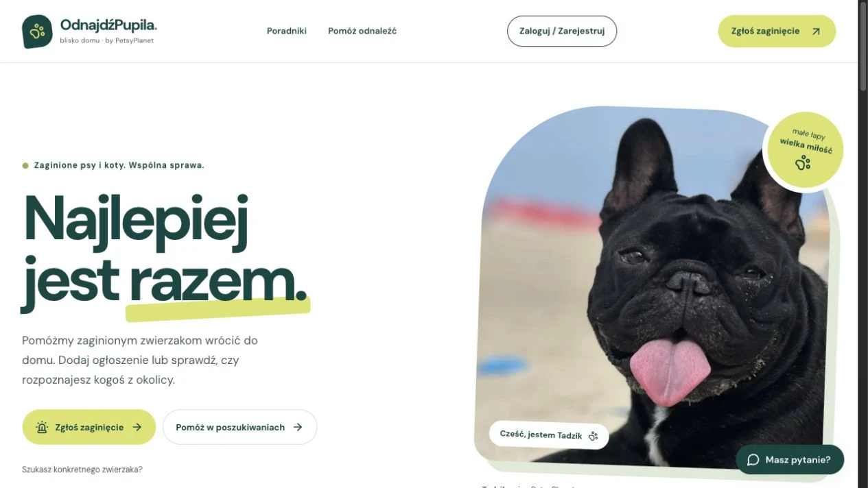 Rzeczywisty podgląd strony OdnajdźPupila: strona główna i zgłaszanie zaginięcia